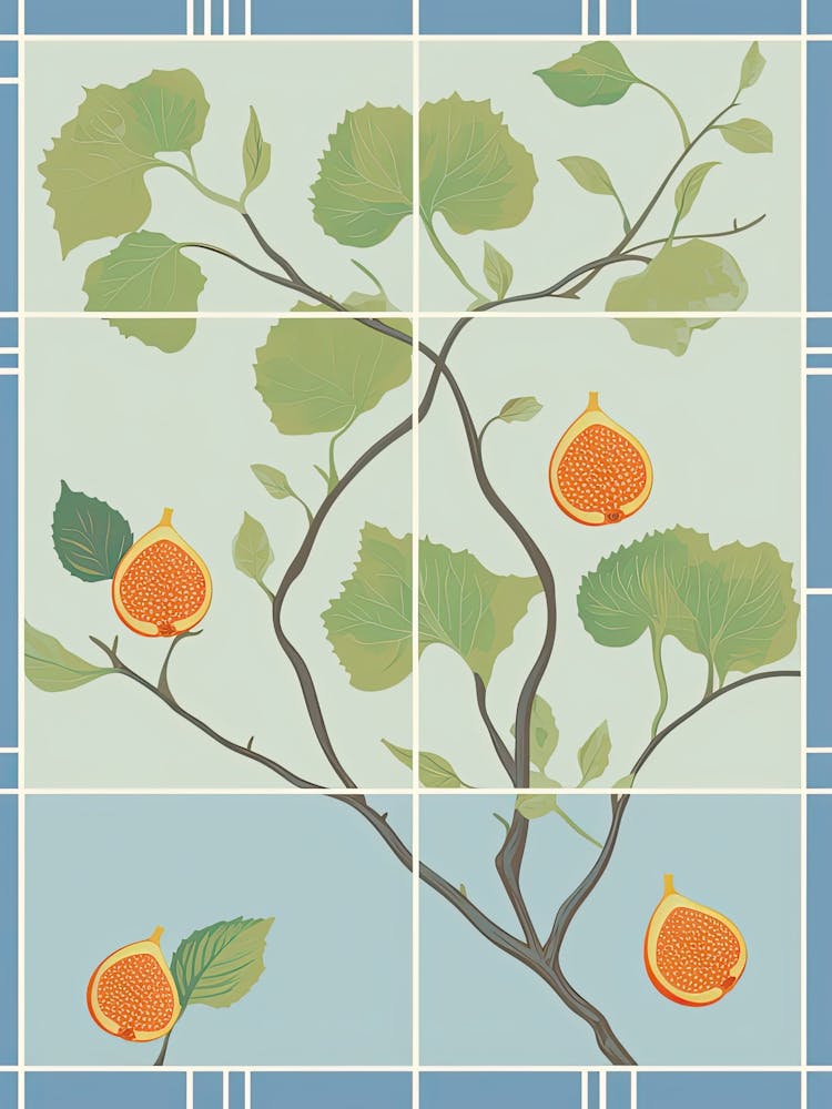 Figs Illustration 8