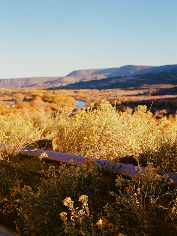 New Mexico Road Trip II on Film