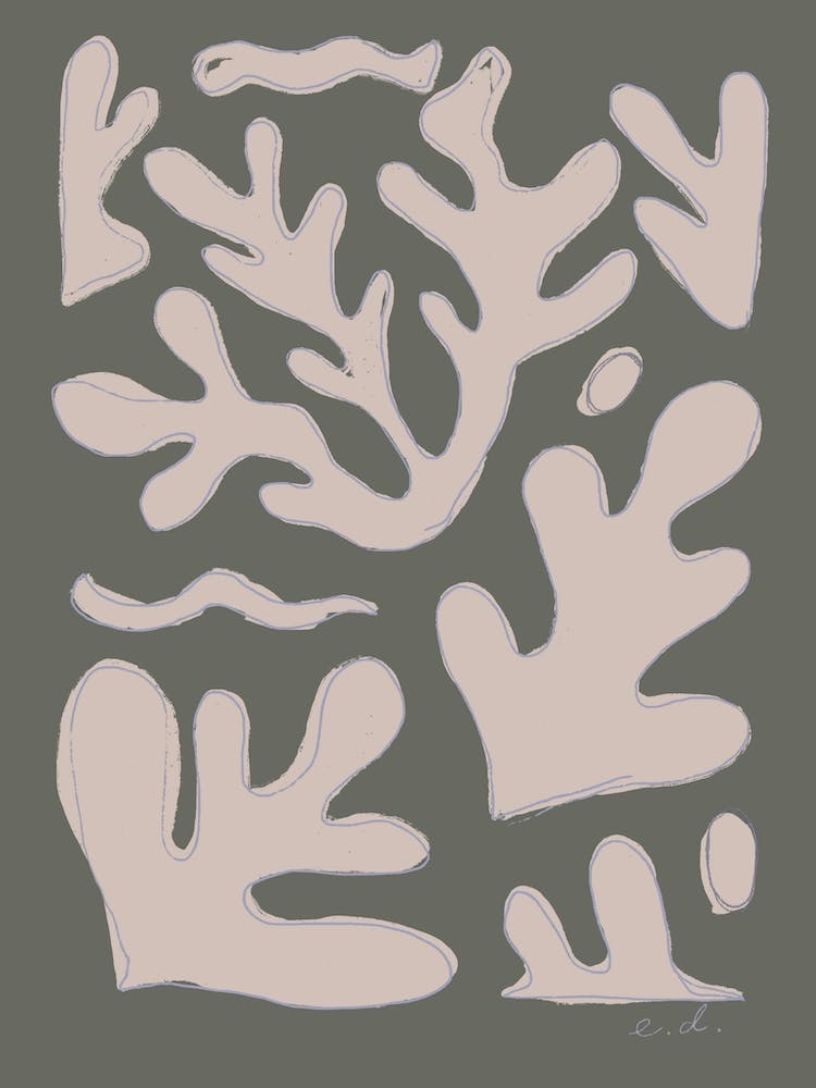 Algues Grises