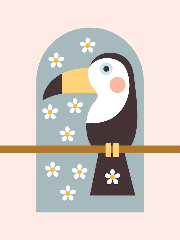 Toucan