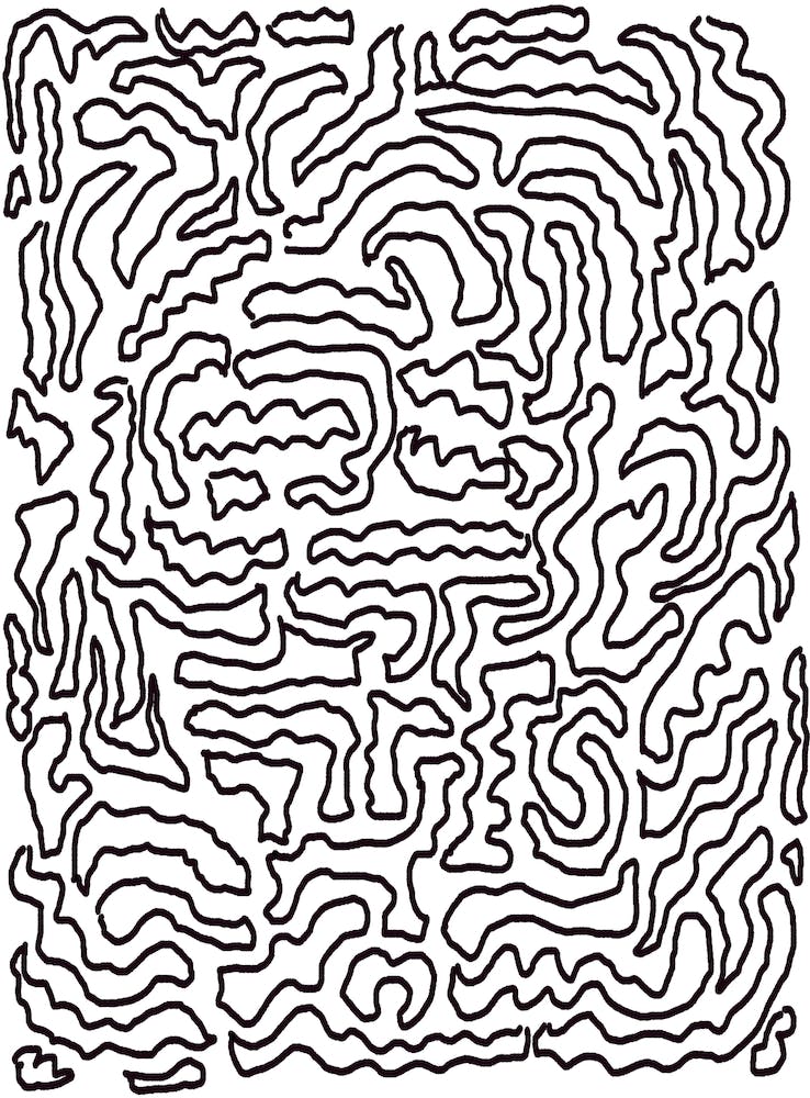 Brain
