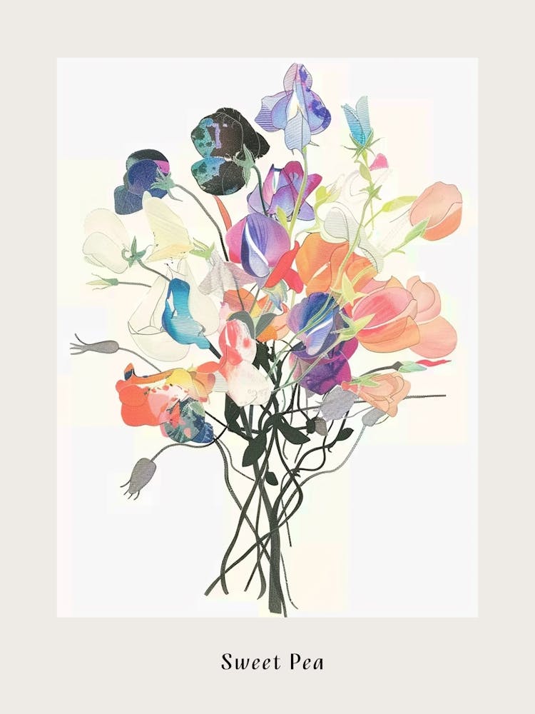 Pois de Senteur 1 Affiche Bouquet de Fleurs Collage