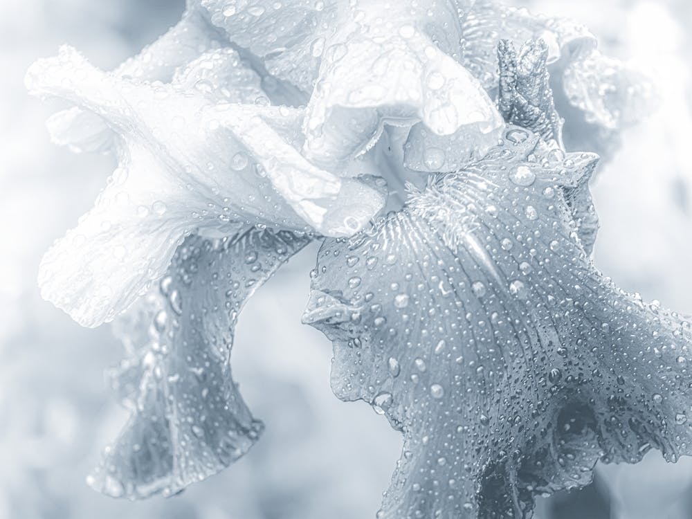 Glass Crystal Flower