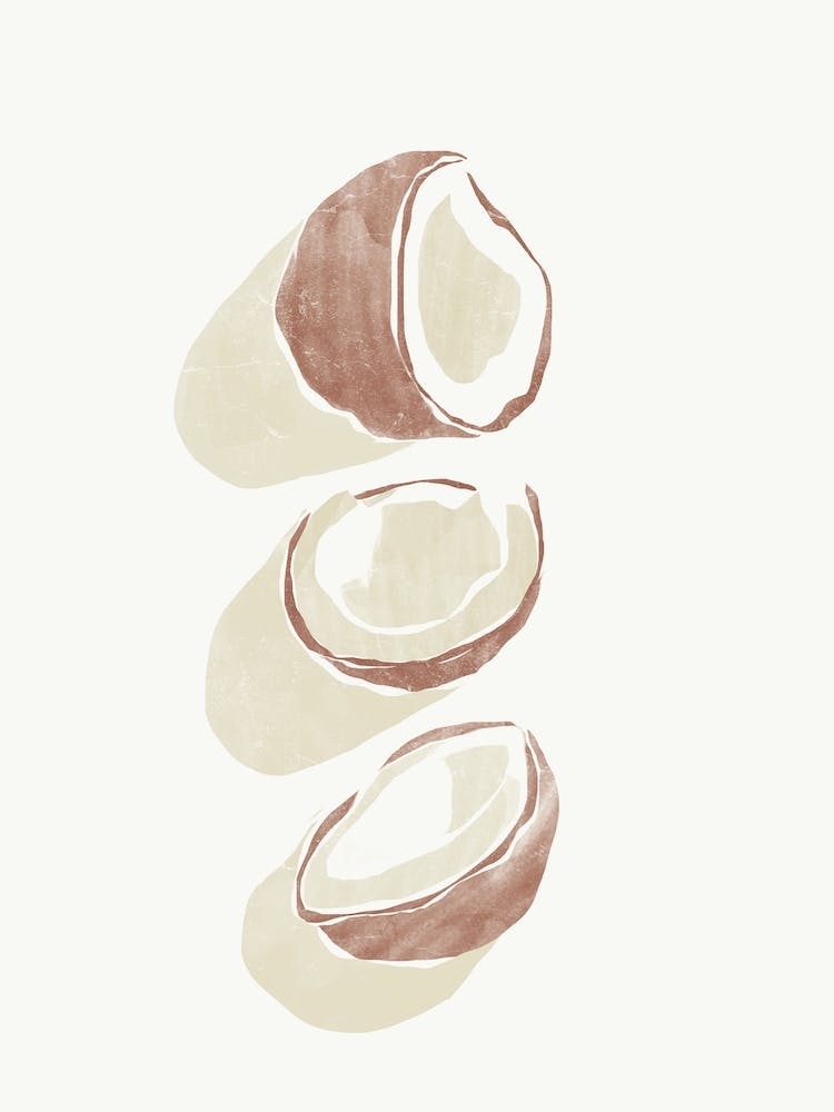 Tropical Coconuts