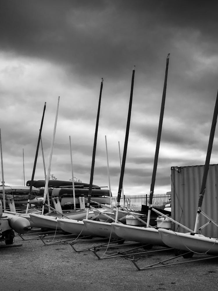 Sailboats At The Marina