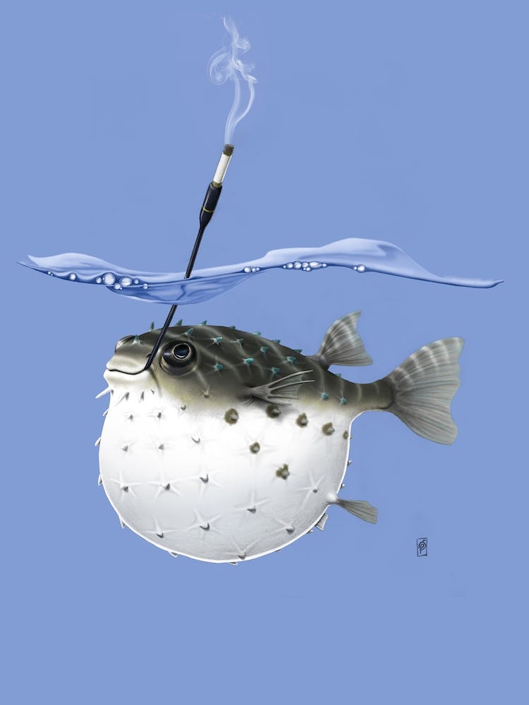 Take It Outside (Colour)