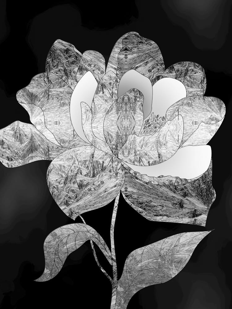 'Flora'