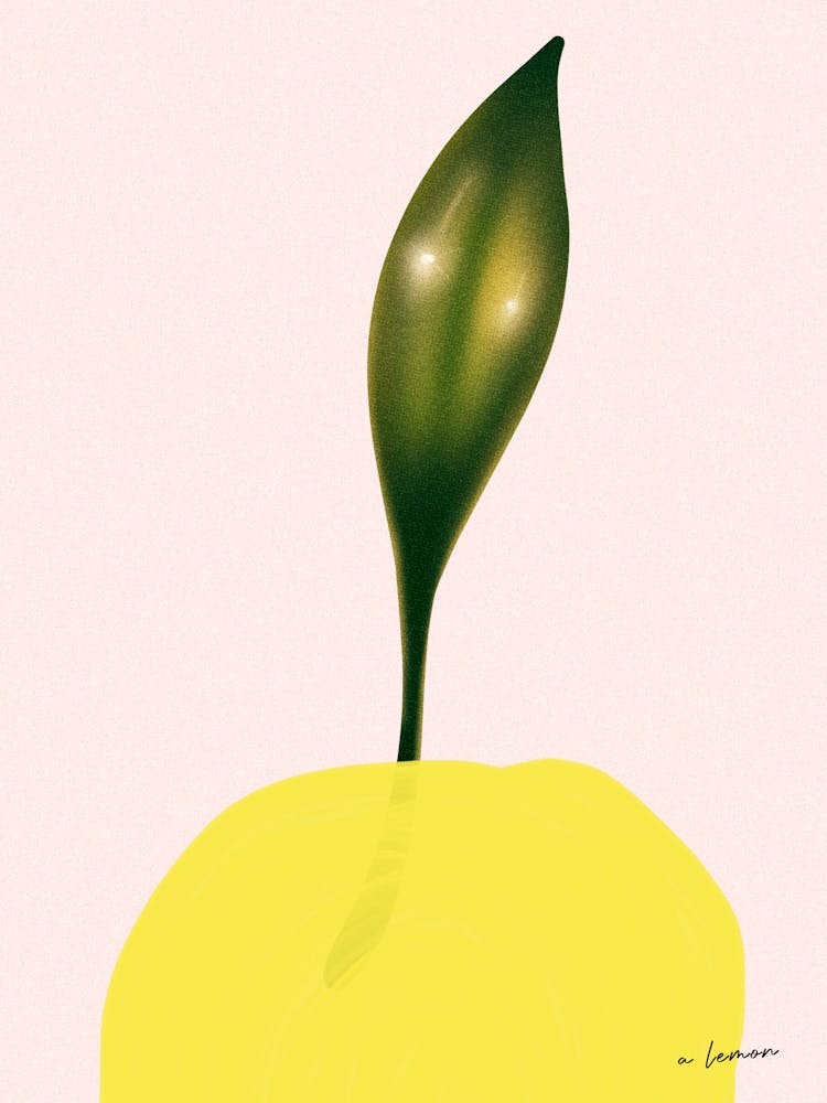 A Lemon