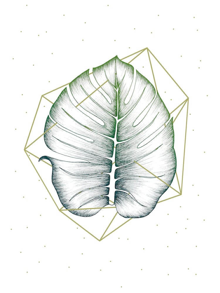 Geometry And Nature 2