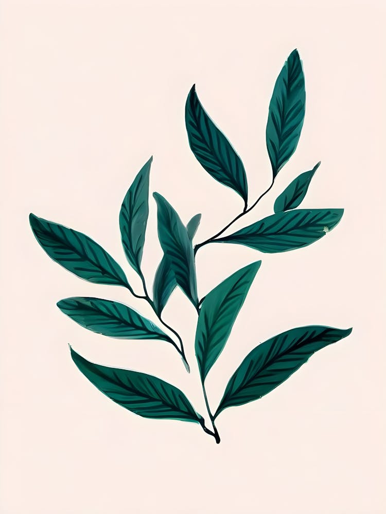 Green Tea Leaves