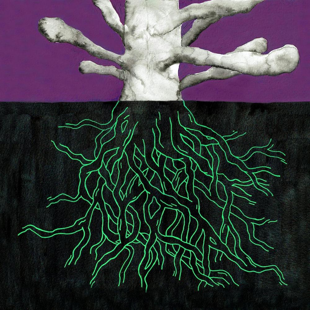 Wurzelquadrat
