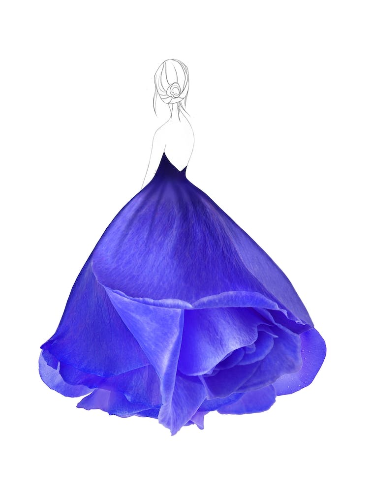 Fashion Blue Rose