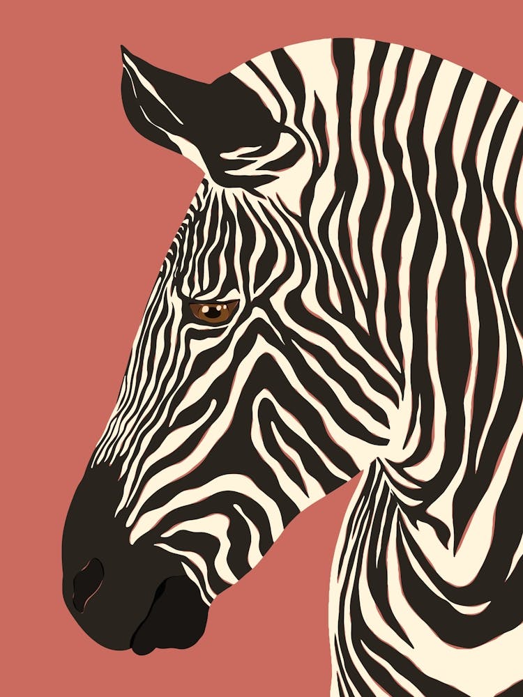 Jungle Safari Zebra on Rose