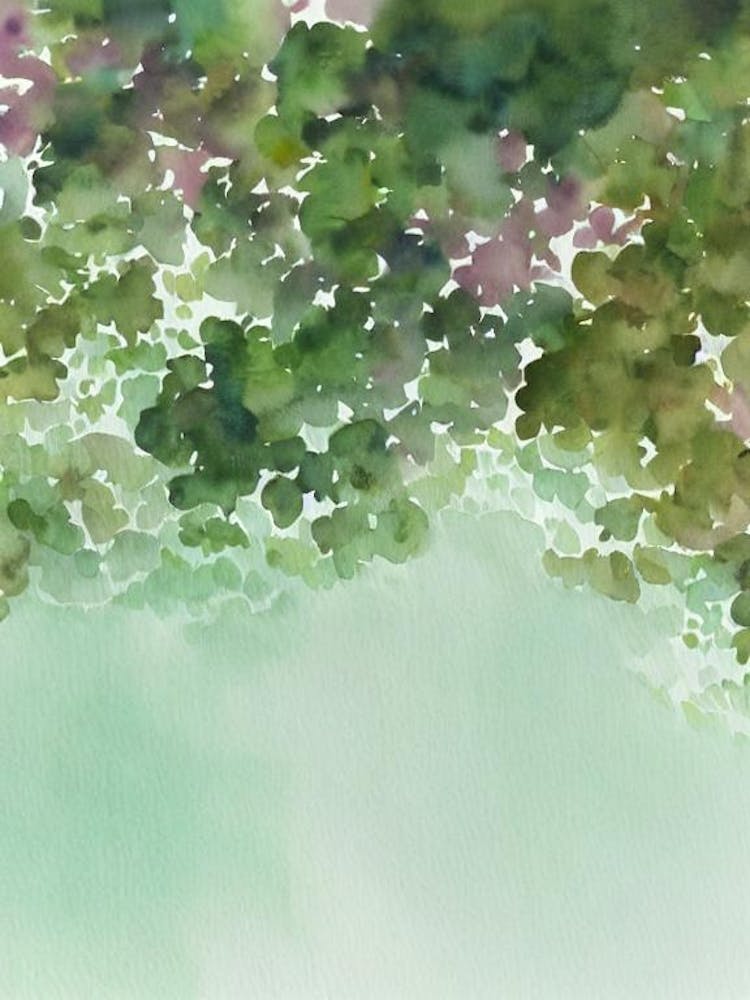 Kelp Storybook Watercolour