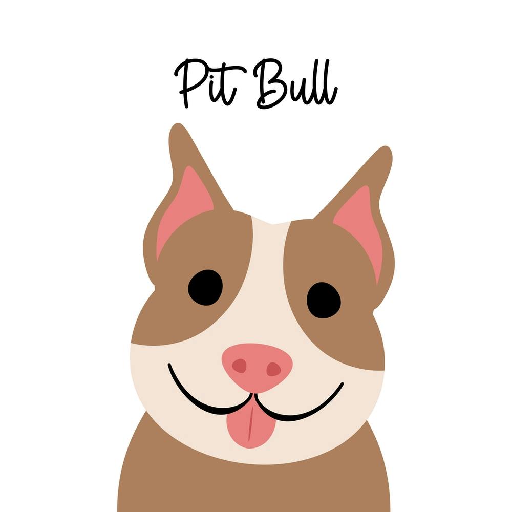 Pit Bull