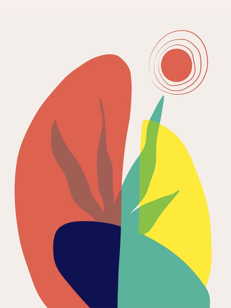 Multicolor Light Reflection