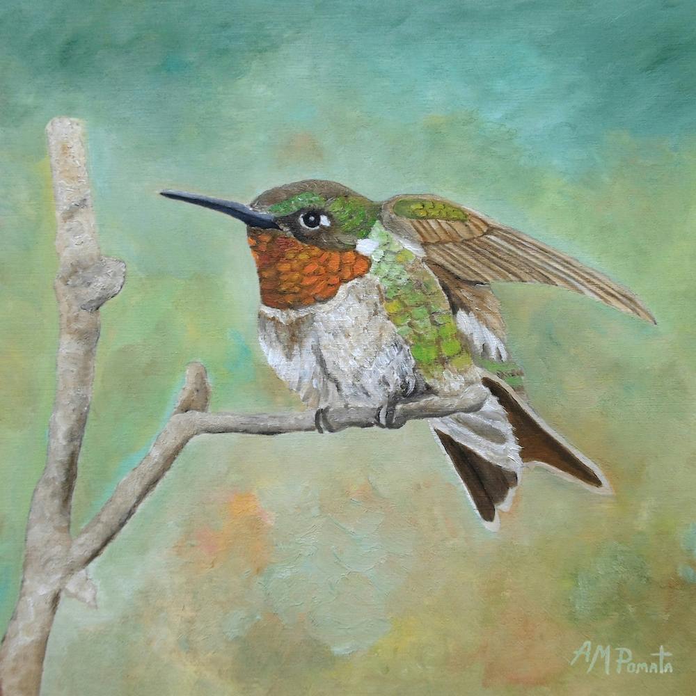 Perched In Place Square