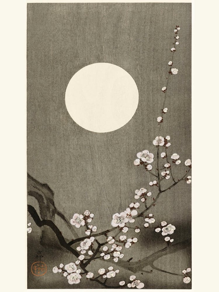 Blooming Plum Blossom At Full Moon (1900 1936), Ohara Koson