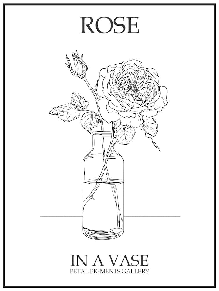 Rose In A Vase Line Drawing 2 Poster