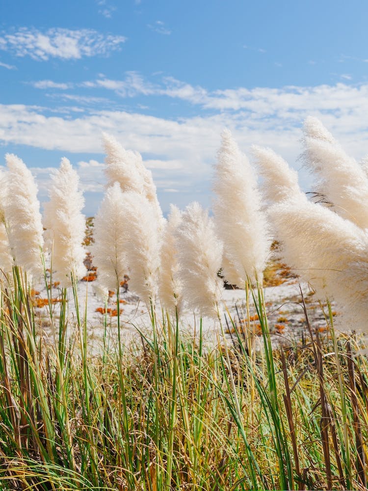 California Beach Day 3