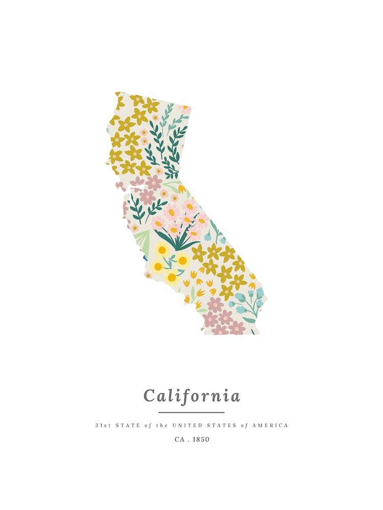 California | Wildflower Mix