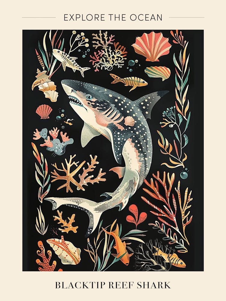 Blacktip Reef Shark Seascape Black Background Illustration 4 Poster