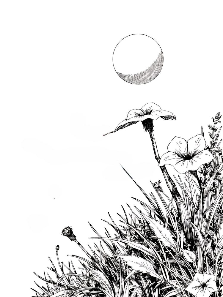 Moon In The Grass