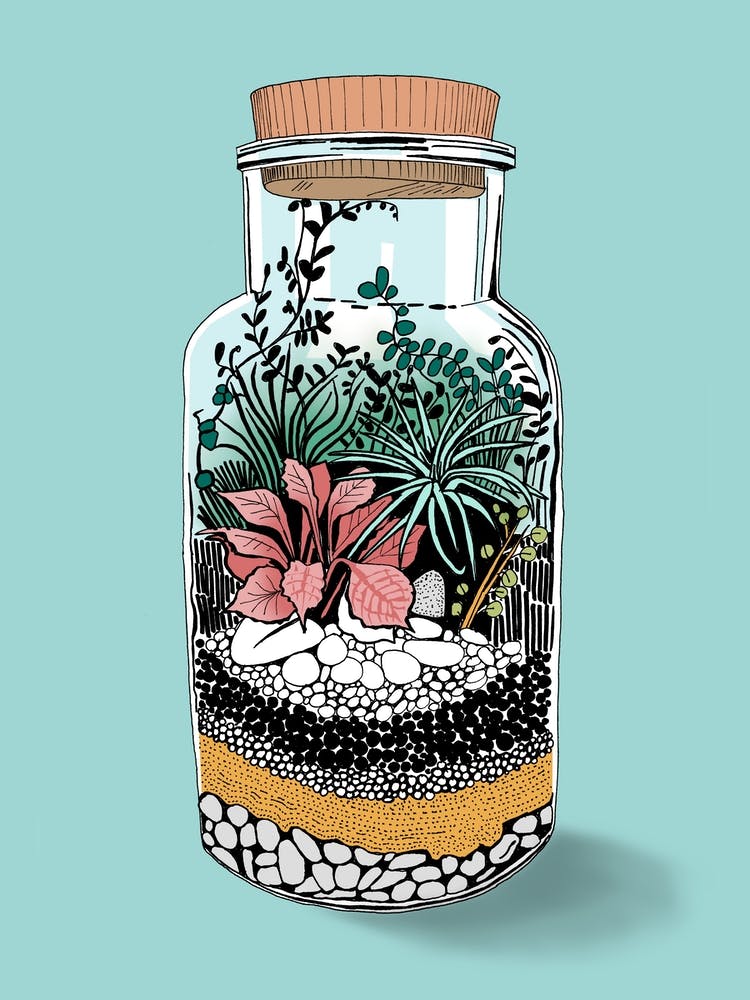 Terrarium Bottle