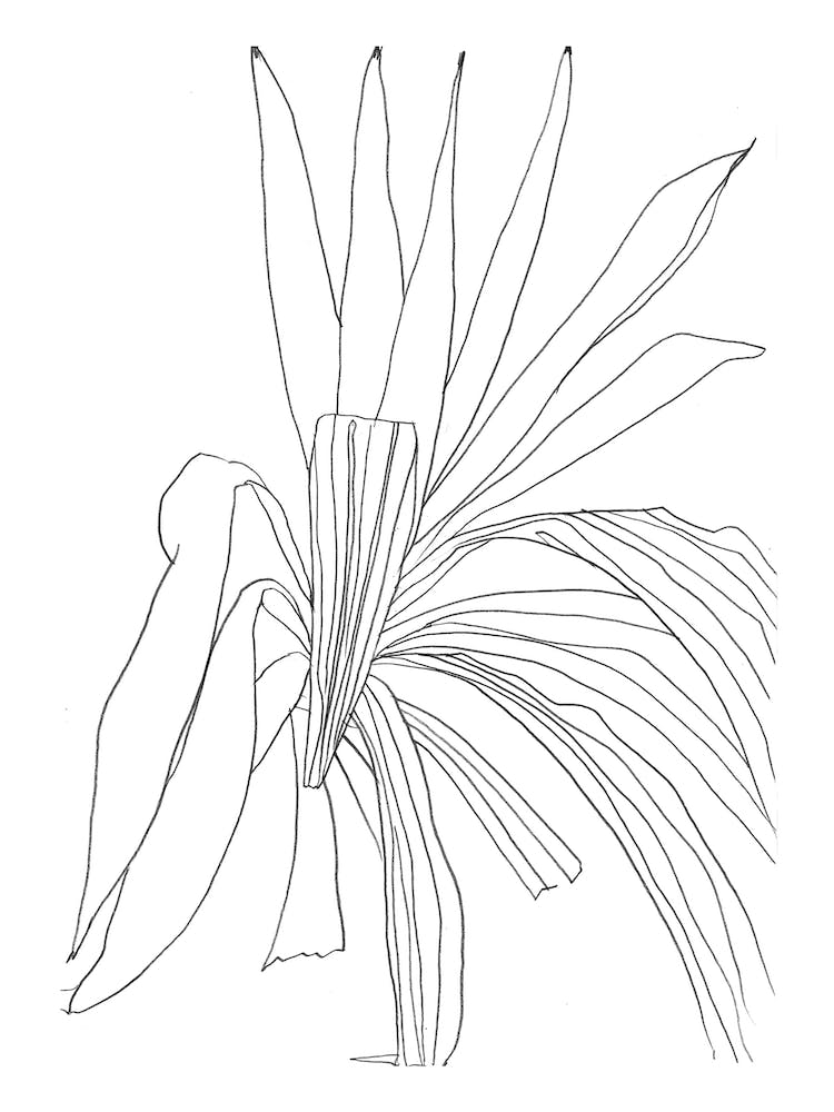 Botanics 2