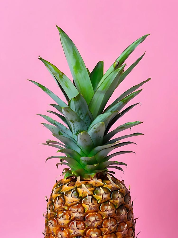 Pineapple On A Pink Background 2