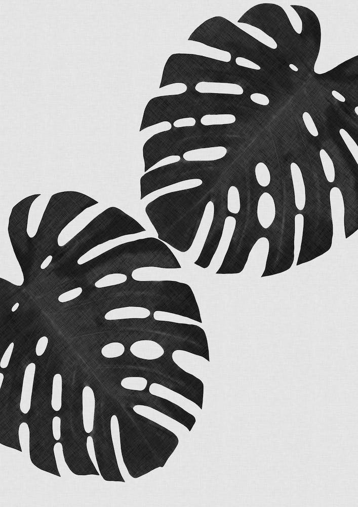 Monstera Leaf Black & White V
