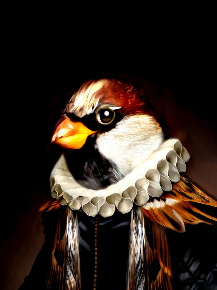 Edo Piaf Bird Pet Portraits
