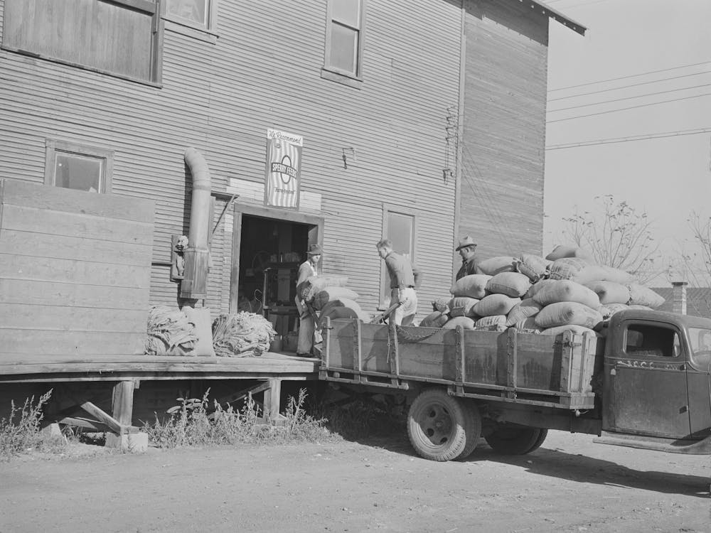 Farmer Brings Seed Into Seed Mill, Ontario, Oregon By Russell Lee