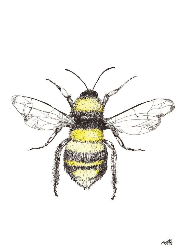 Watercolour Honeybee
