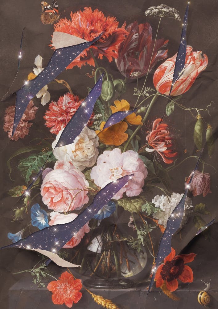 Flowers Of The Galaxy