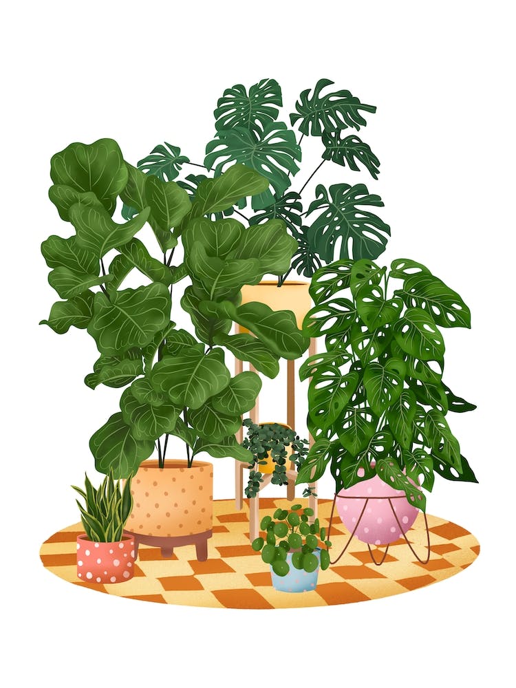 Colourful Potted Plant 2