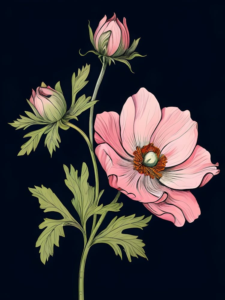 Anemone Flower