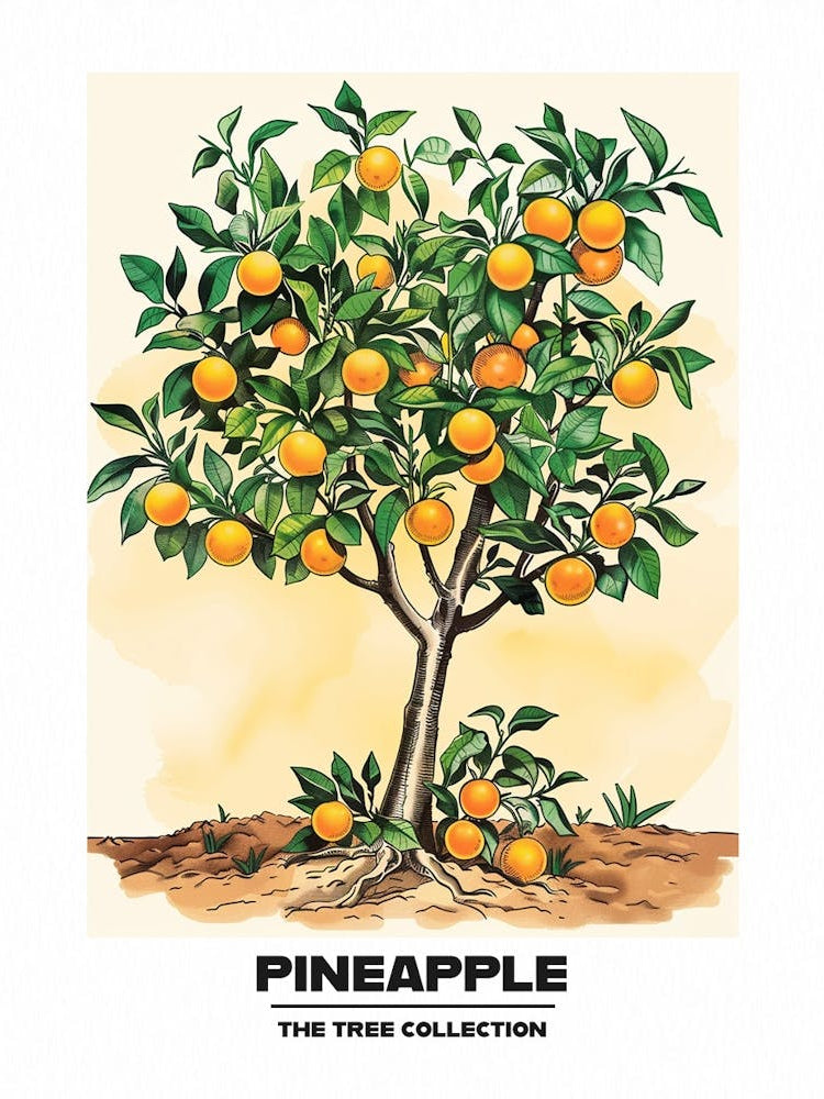 Pineapple Tree Storybook Illustration 2 Poster