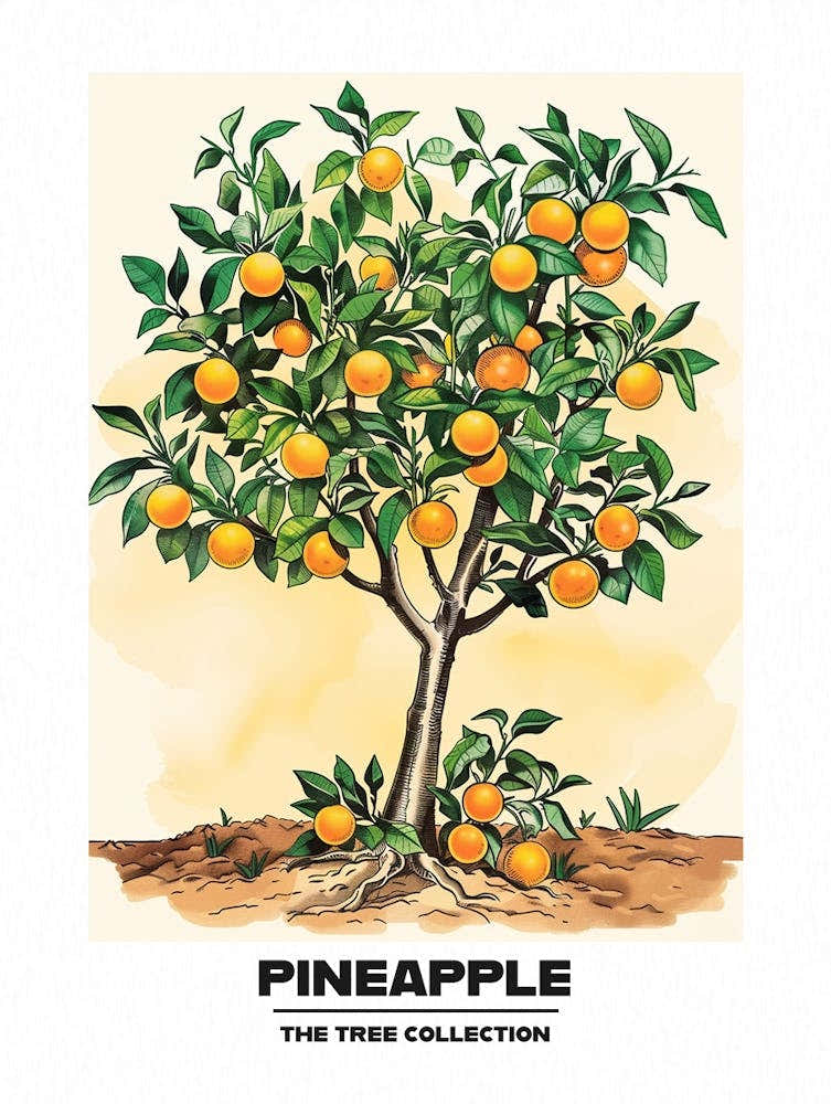Pineapple Tree Storybook Illustration 2 Poster