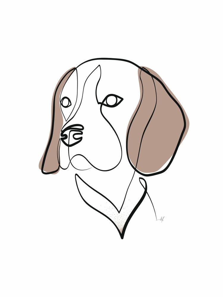 Beagle