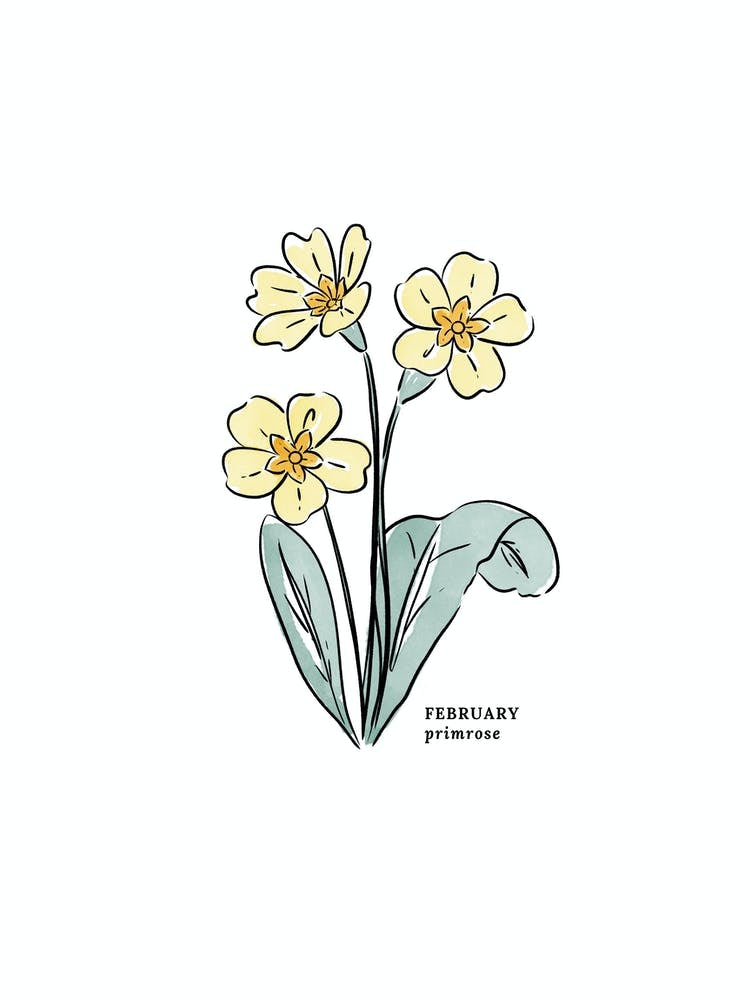 February Primrose Birth Flower 1