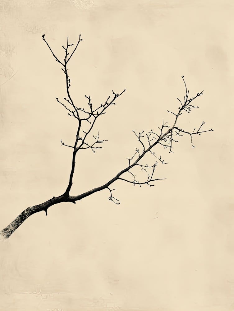 Shanghai Flower Market Boho Minimalist Style