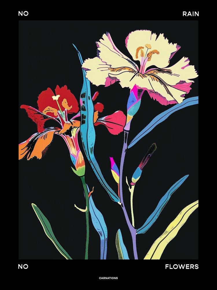 No Rain No Flowers Poster Carnation Dianthus 2
