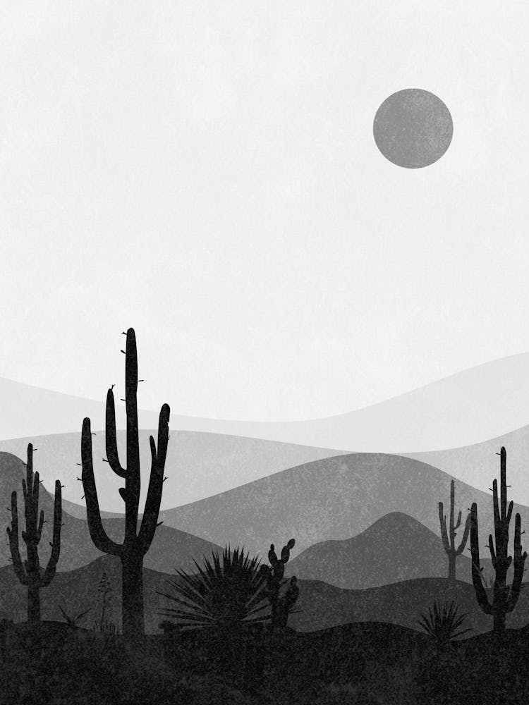 Cactus Dans Le Désert