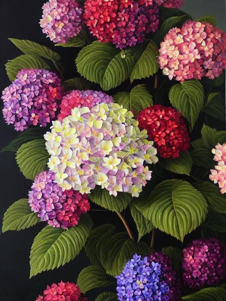 Hydrangea Still Life Oil Painting Flower