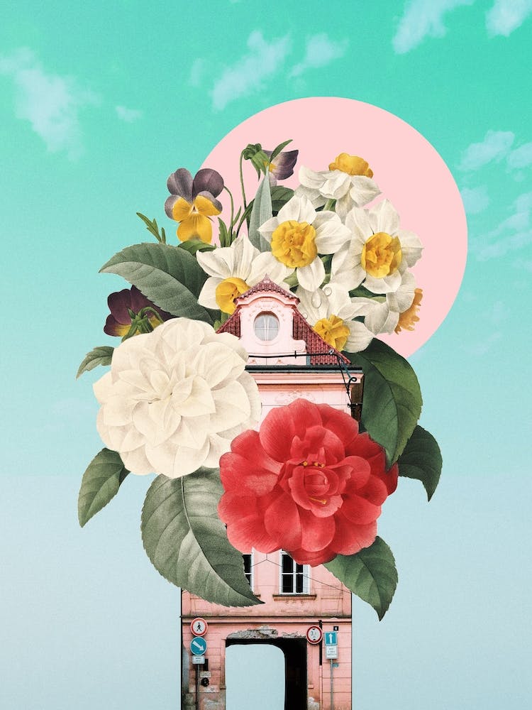 Wallflower 3