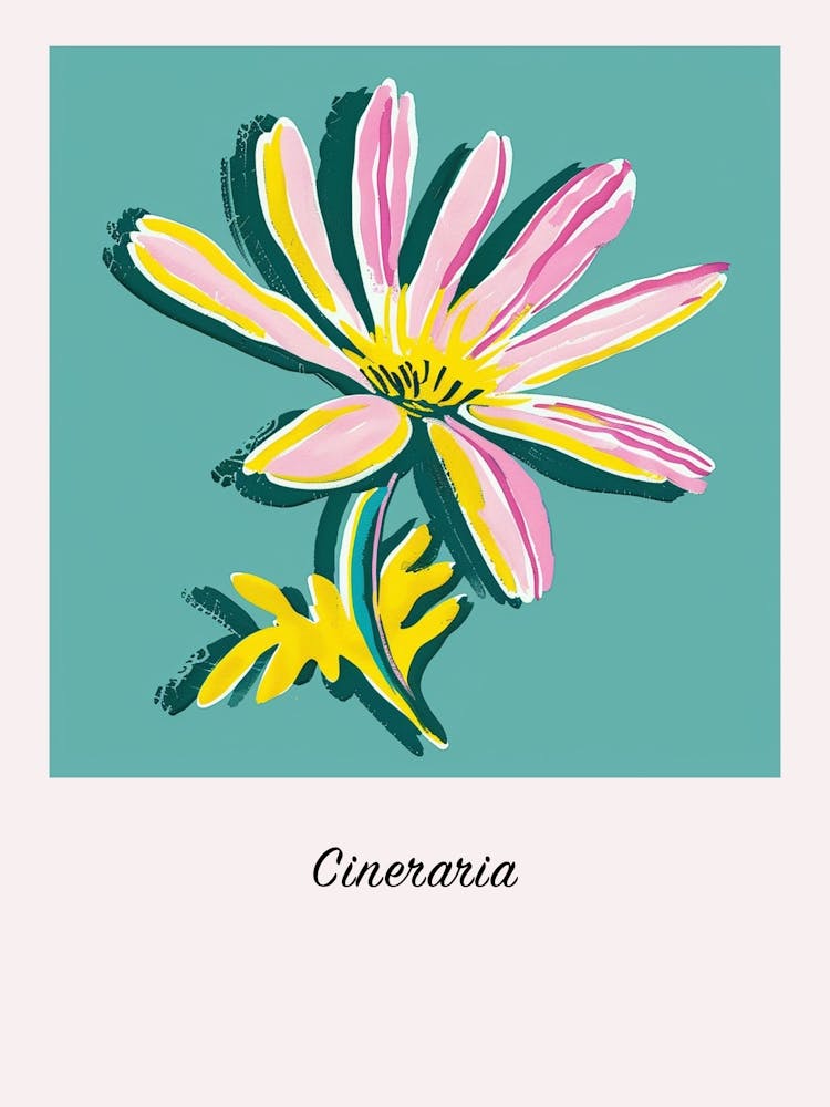 Cineraria 2 Square Flower Illustration Poster