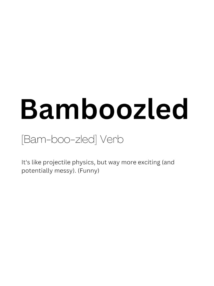 Bamboozled Definition Meaning 1