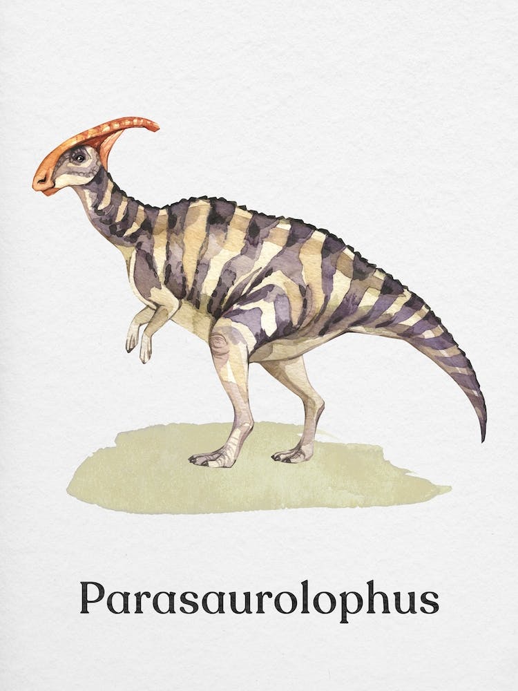 Parasaurolophus
