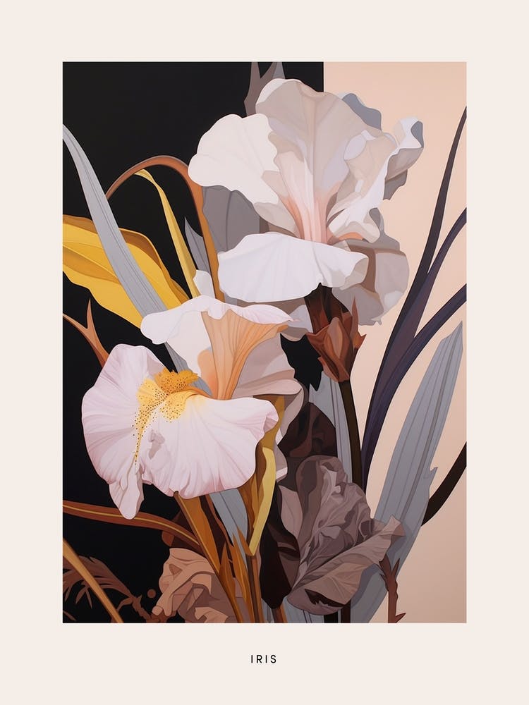 Flower Illustration Iris 1 Poster